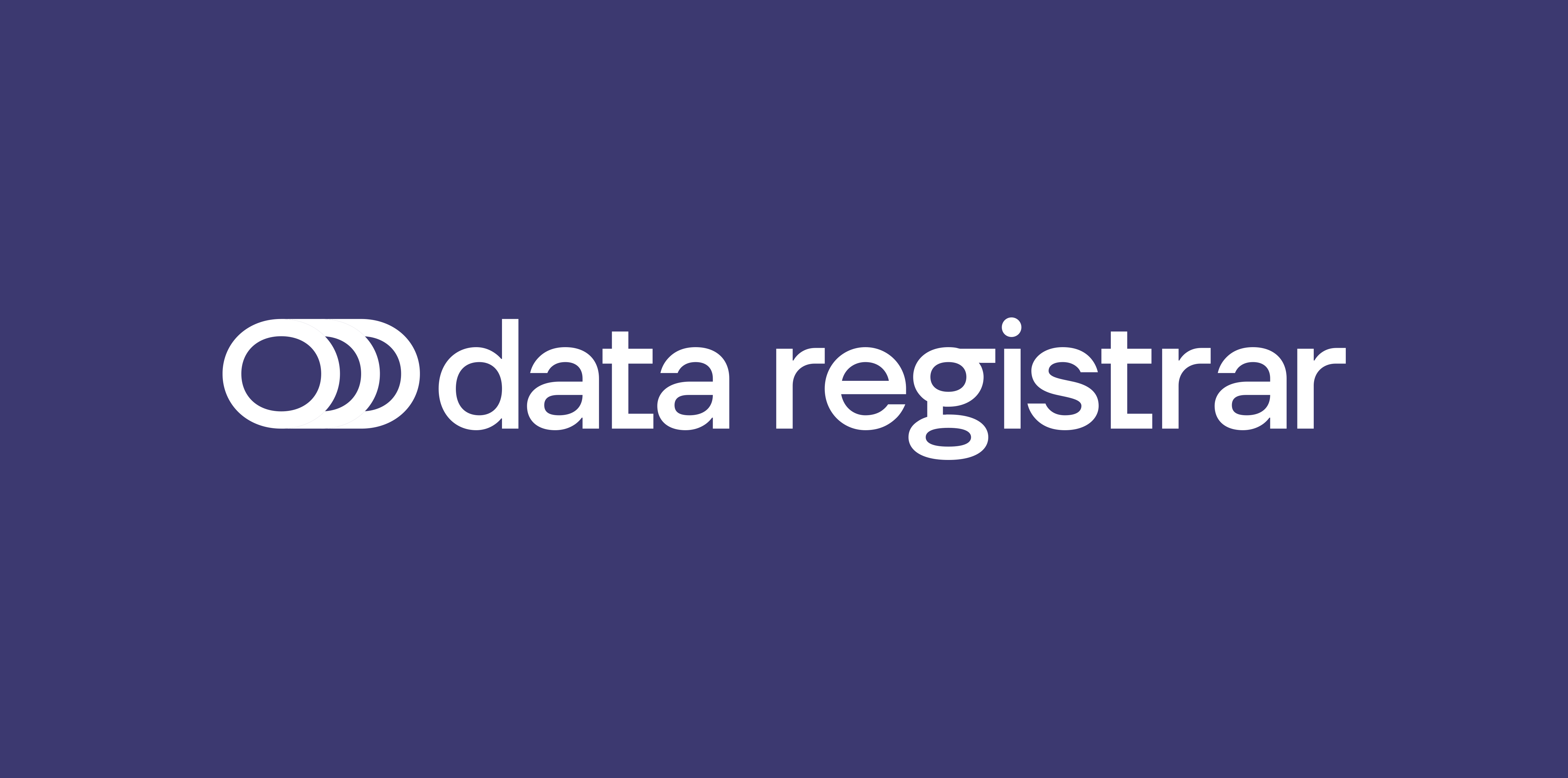 Data-Registrar Logo, Brand ID, Corporate Identity, Brochure 4