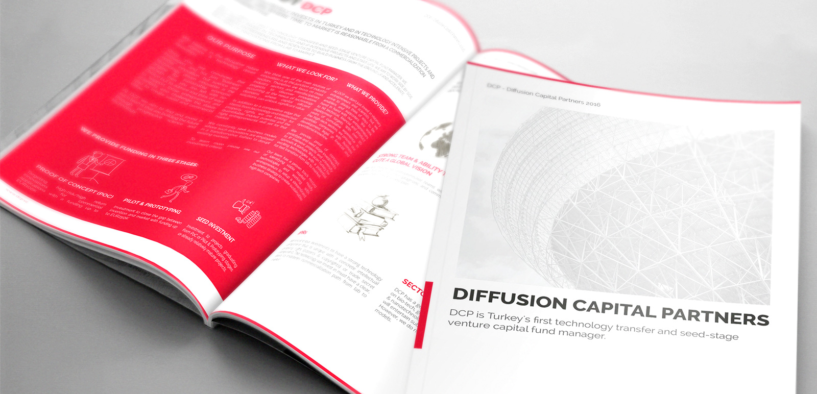 DCP Diffusion Capital Partners Brochure 1