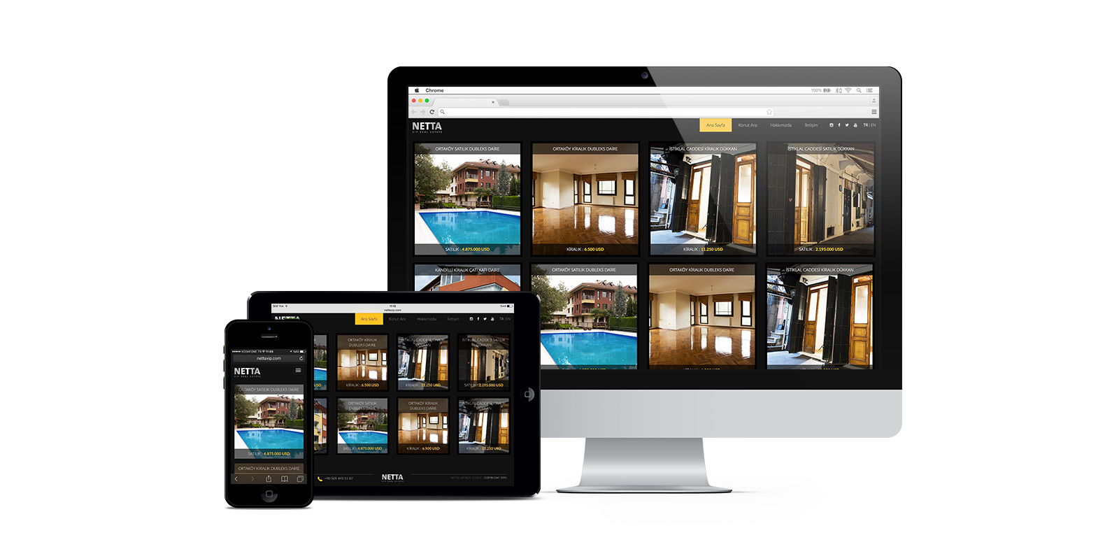 Netta Vip Real Estate Website 1