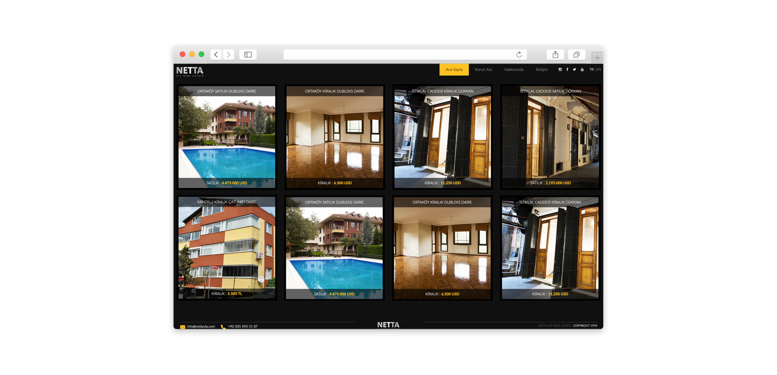 Netta Vip Real Estate Website 3
