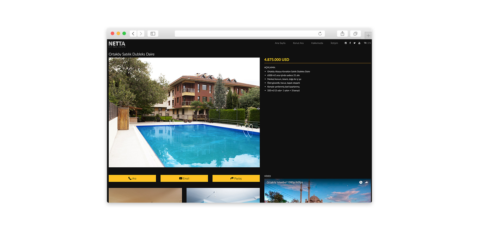 Netta Vip Real Estate Website 4