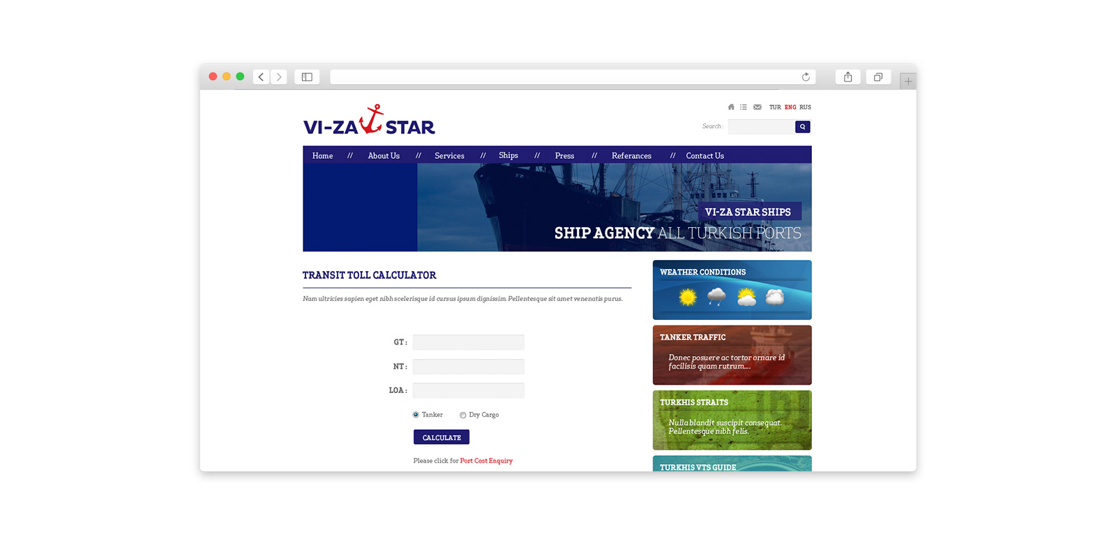 VIZA  Star Website 2