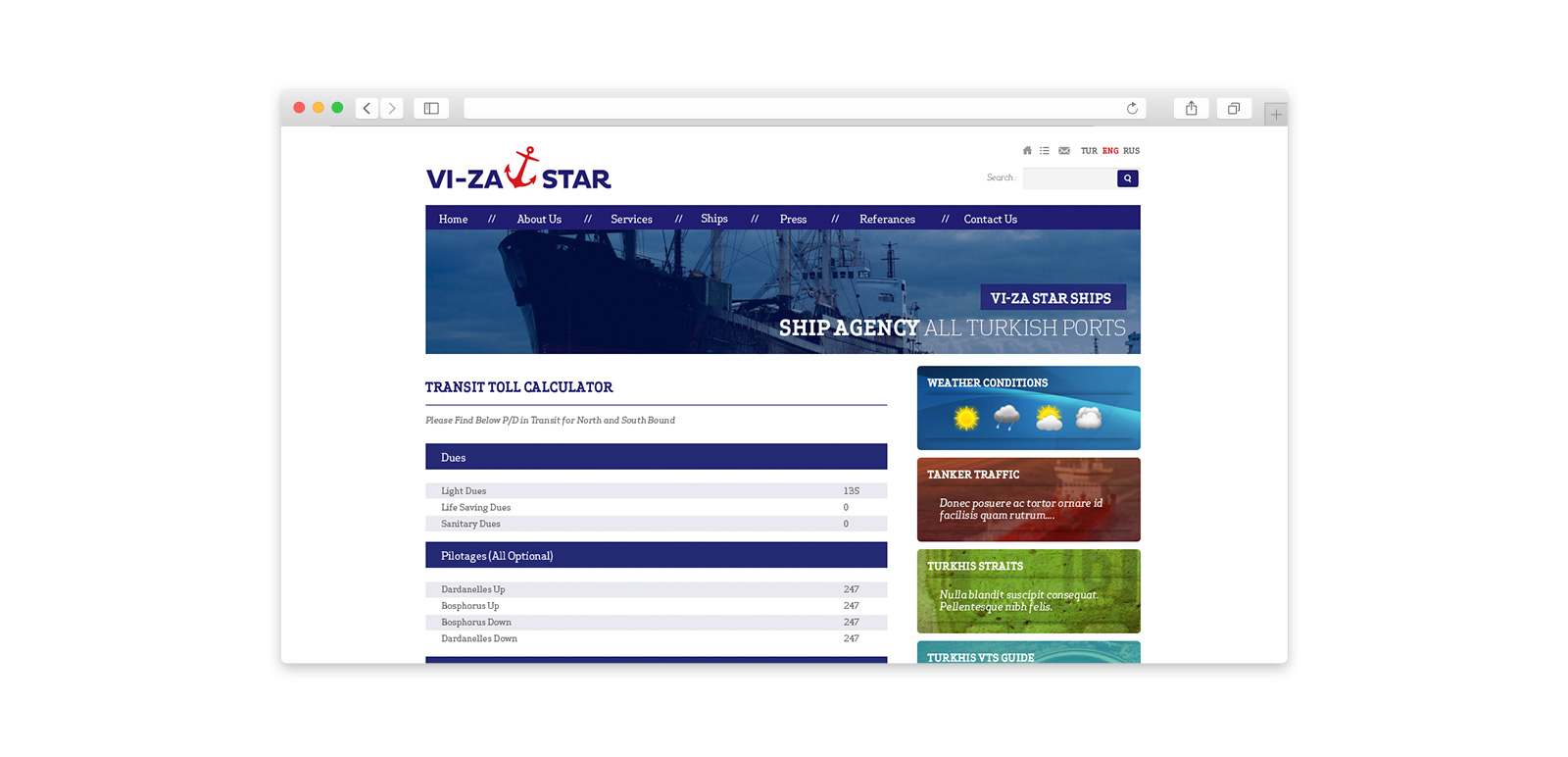 VIZA  Star Website 3