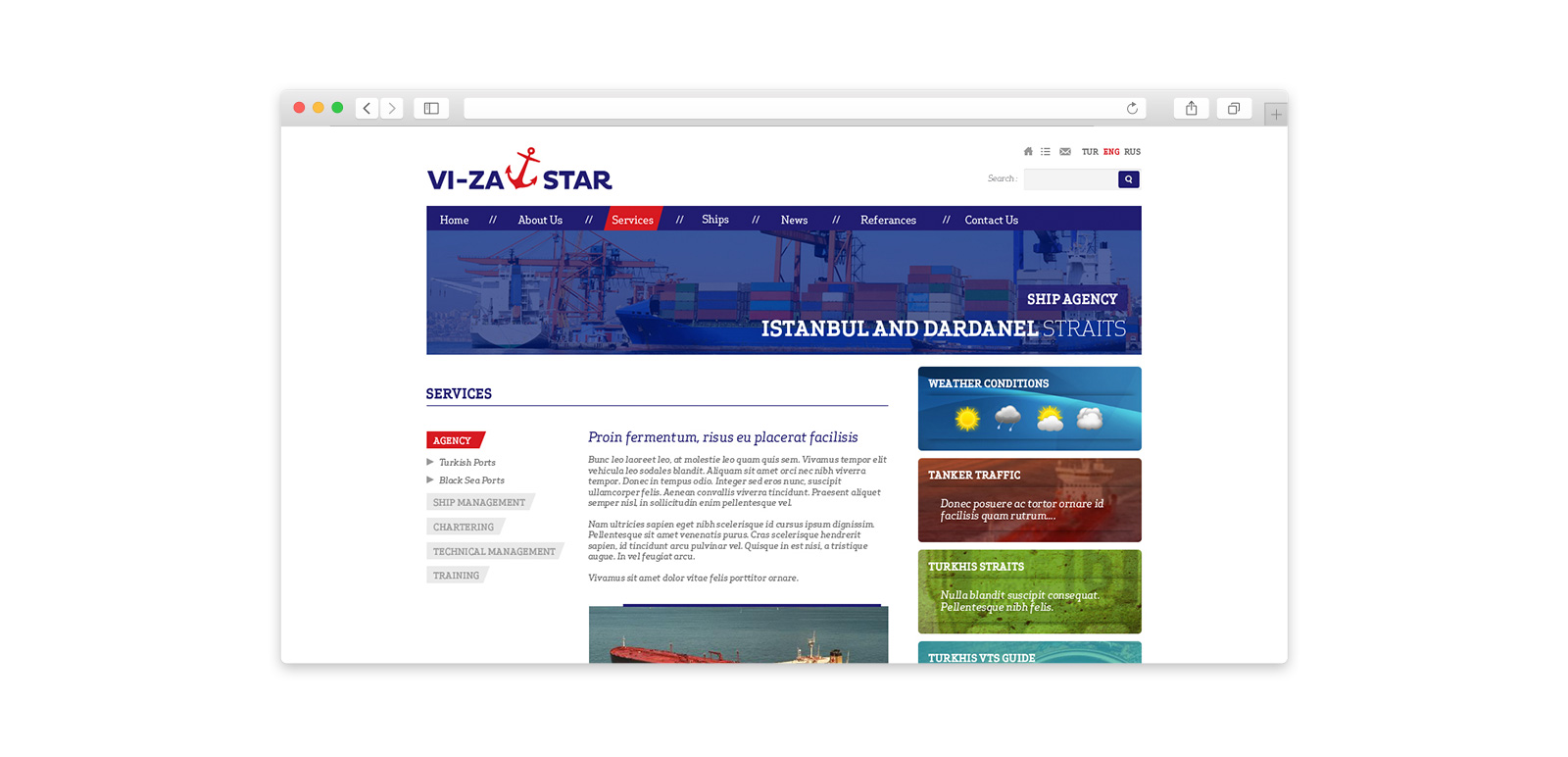 VIZA  Star Website 4